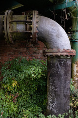 Large industrial worn pipe with overgrown plants outside