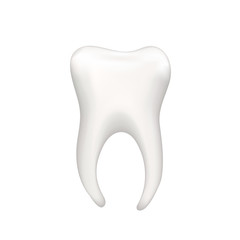 Bright realistic human teeth isolated on white