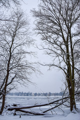 Moody winter landscape with bare trees and frozen lake, with snow-covered houses in backgroundd