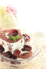Grape and chocolate swiss roll for gourmet dessert image