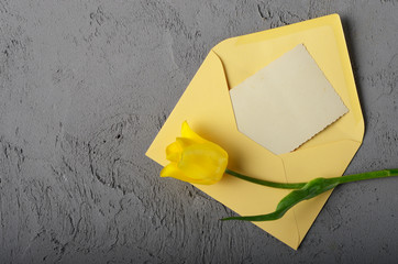 Yellow tulip near blank greeting card and envelope on grey background with space for text