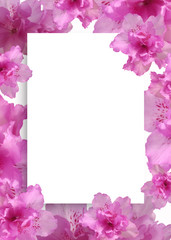 Obraz premium 아름다운 봄 배경, 봄 백그라운드, 봄 꽃 프레임