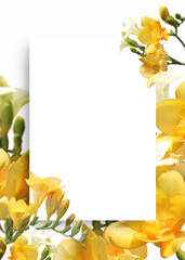 아름다운 봄 배경, 봄 백그라운드, 봄 꽃 프레임