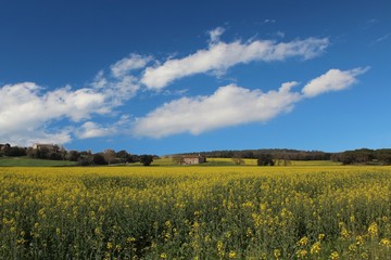 Primavera en Catalunya