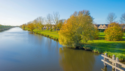 Trees along the shore of a canal in a city in sunlight at fall