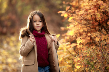 little girl playing with autumn fallen leaves