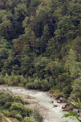 forest river in the summer in the mountains.
