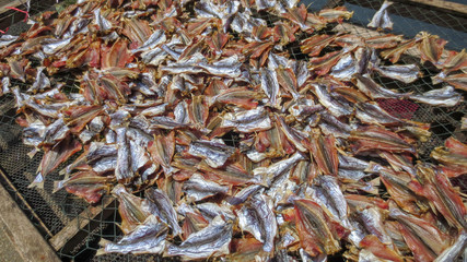 close up of salted dried fish at Phatthalung, Thailand