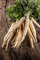 Close-up parsnip with parsley top on wooden board