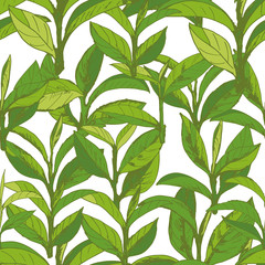 seamless pattern with green tea, hand-drawn leaves and branches of tea - 232463364