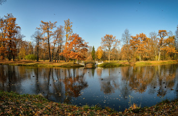 Autumn landscape with lake and trees