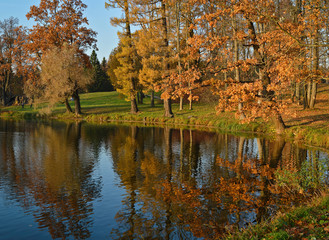 Autumn in the park