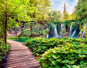 Splendide vue matinale sur le parc national de Plitvice. Scène printanière colorée de forêt verte avec cascade d& 39 eau pure. Grand paysage de campagne de Croatie, Europe. Fond de concept de voyage.