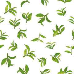 seamless pattern with green tea, hand-drawn leaves and branches of tea - 232463795