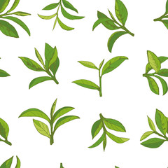 seamless pattern with green tea, hand-drawn leaves and branches of tea - 232463913