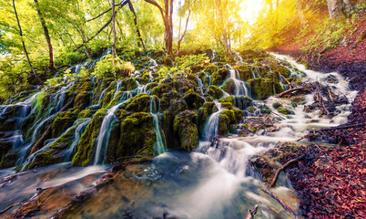 Colorful spring scene of green forest with pure water waterfall in Plitvice National Park. Great...