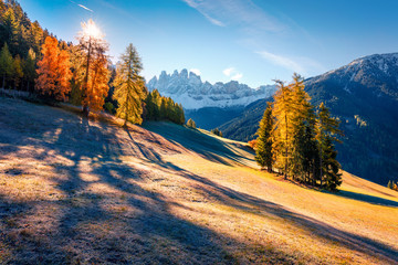 Bright view of Santa Maddalena village in front of the Geisler or Odle Dolomites Group. Colorful autumn scene of Dolomite Alps, Italy, Europe. Beauty of countryside concept background.