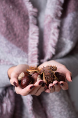hands hold thorny chestnuts