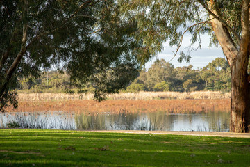 bibra lake reserve landscape