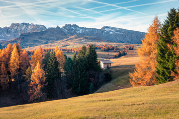 Bright outdoor scene of Alpe di Siusi mountain plateau with beautiful yellow larch trees. Colorful autumn morning in Dolomite Alps, Ortisei locattion, Italy, Europe. 