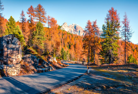 Fantastic sunny view of Dolomite Alps with yellow larch trees. Great autumn scene of mountains. Giau pass location, Italy, Europe. Beauty of nature concept background.