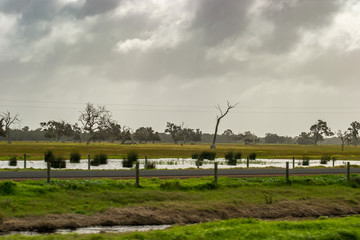 Fototapeta na wymiar Landscape of Perth surroundings outback green nature cloudy day