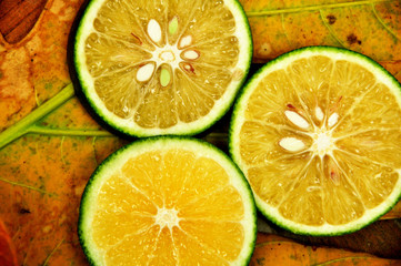 Fresh lime  slices