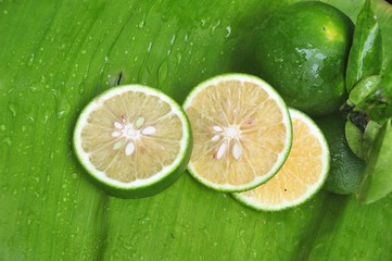 Fresh lime  slices