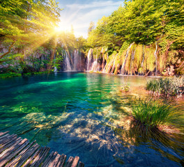Fantastic morning view of Plitvice National Park. Colorful spring scene of green forest with pure water waterfall. Beautiful countryside landscape of Croatia, Europe. Traveling concept background.