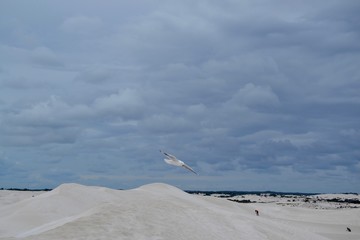 The Sand Dunes - Western Australia landscape on the beach