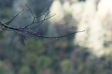 landscape of mountains and blue sky
