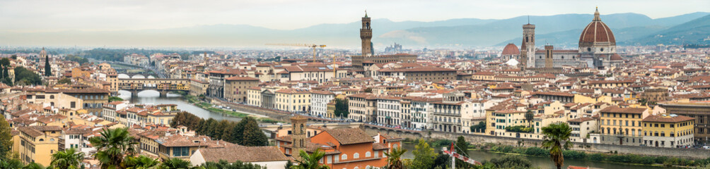 florence - firenze - italy