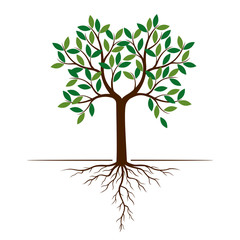 Fototapeta premium Color Tree and Roots. Vector Illustration.