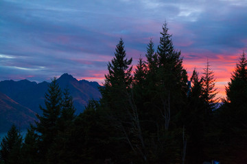 Sunset in Southern Alps mountains, huge pine trees forrest, colourful twilight sky and Walter peak, Queenstown New Zealand South Island