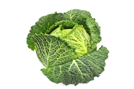 Savoy cabbage kale vegetable isolated on white
