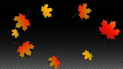September Vector Background with Golden Falling Leaves. Autumn Illustration with Maple Red, Orange, Yellow Foliage. Isolated Leaf on Transparent Background. Bright Swirl. Suitable for Posters.