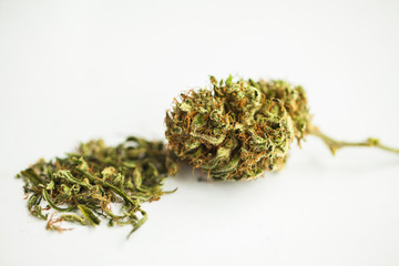 medicine cannabis sativa sort Durban. marijuana medical