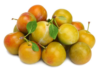 White plums isolated on white background