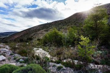 Fototapeta na wymiar Spring Thaw Time in Patagonia