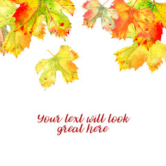 Background with autumn golden orange grape vine leaves isolated on white, falling from above. Watercolor illustration