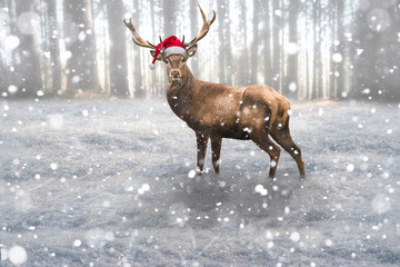 Rentier mit Weihnachtsmannmütze steht im Wald bei Schneefall