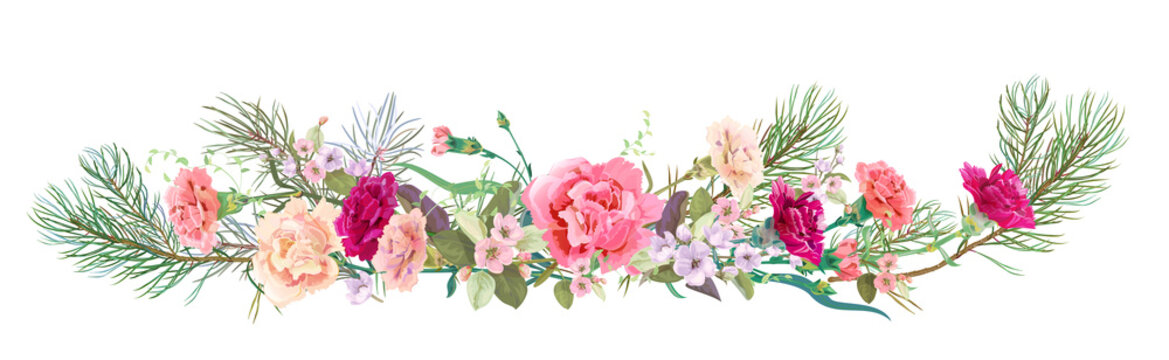 Panoramic view: bouquet of carnation schabaud, spring blossom, pine branches. Horizontal border: red, pink flowers on white background. Digital draw illustration in watercolor style, vintage, vector