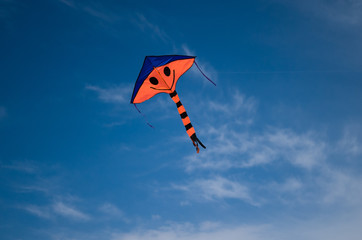 Makara-Sankranti, flying kite and kite in the air, cloud sky.
