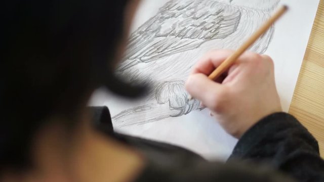 The artist draws the owl's paw