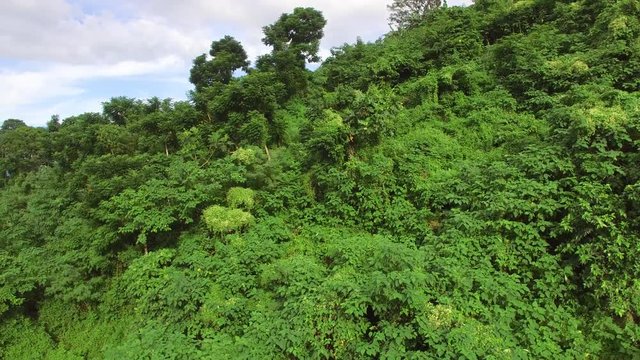 Mt. Makiling, Los Ba&ntilde;os, Laguna, Philippines - November 21, 2017: Mountain reserve government protected rain forest replete with full grown trees. Drone aerial shot
