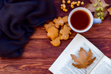 Autumn layout with hot tea with a lemon on a sweater and dry leaves. Brown background.Books.