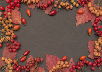 Autumn background with fall leave and fruits on black background