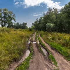 dirty road on a sunny day