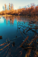 Reed on the blue river.