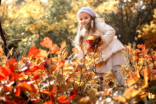 baby girl pick up a bouquet of yellow leaves on autumn day